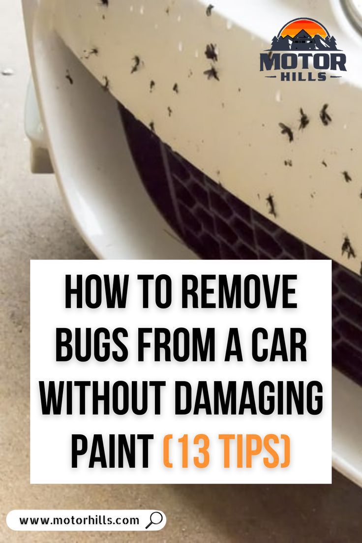 How To Remove Bugs From a Car Without Damaging Paint (13 Tips) | Motor