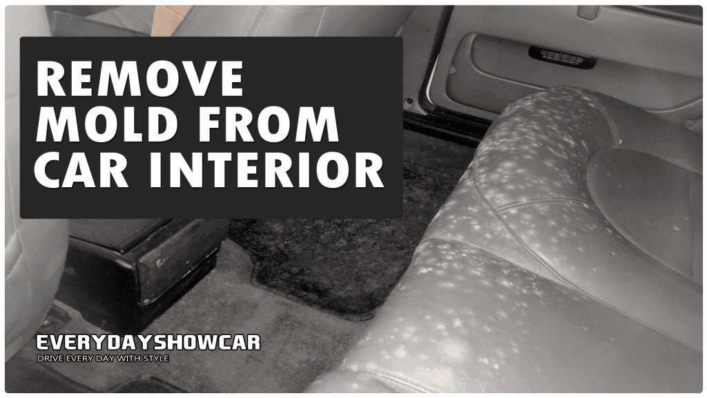 3 Easy Ways To Clean Mold Out Of Your Car Interior - EDSC