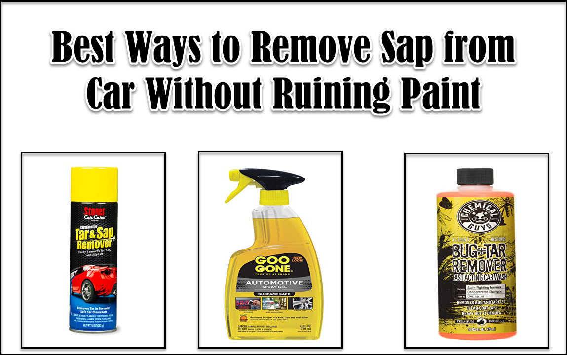 Best Ways to Remove Sap from Car Without Ruining Paint