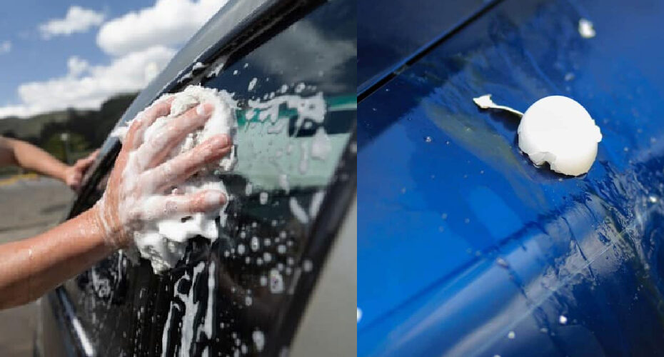 How to Clean Egg Off Car Windshield