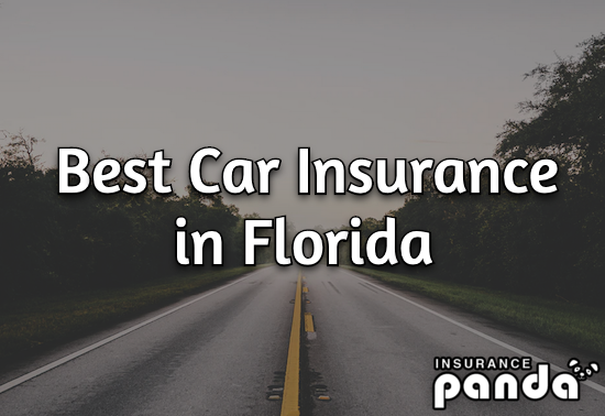 Best Car Insurance in Florida - Cheapest Insurance Rates in Florida