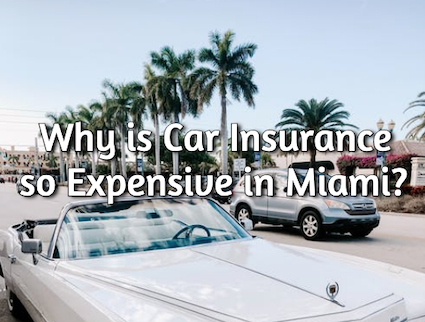 Why is Car Insurance so Expensive in Miami? - Insurance Panda
